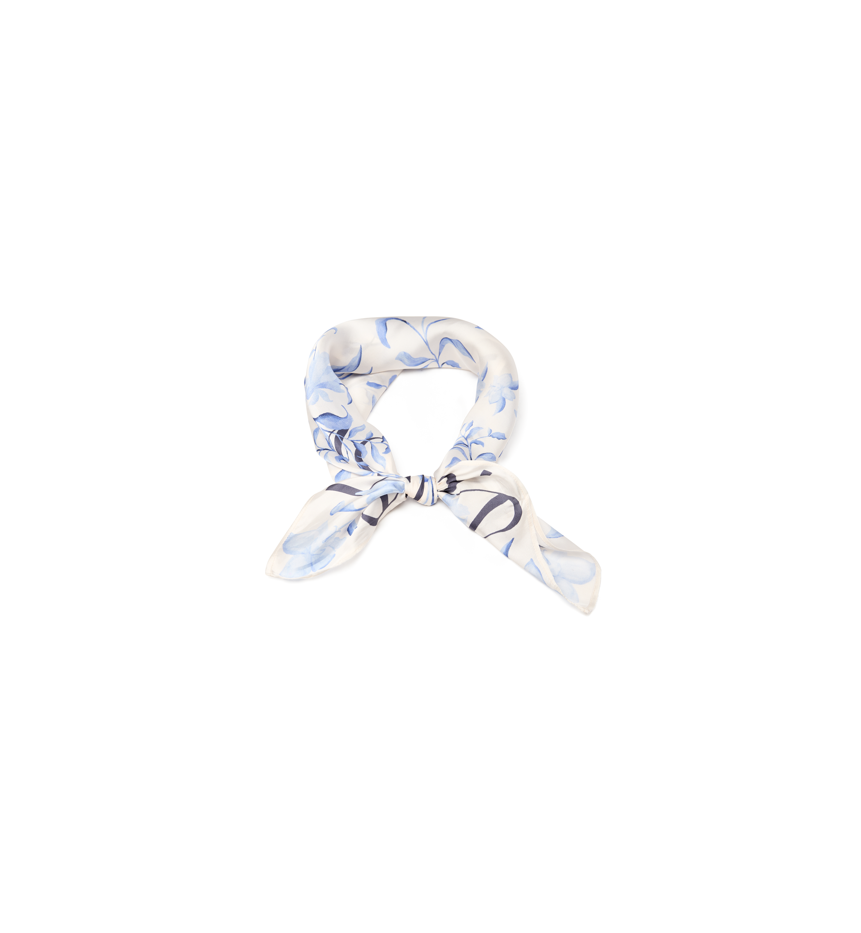 Packshot / Brunnera Blue / Back